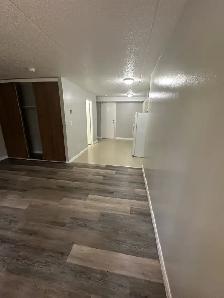 Bachelor Available now in Minnow Lake - Photo 3