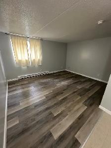Bachelor Available now in Minnow Lake - Photo 4