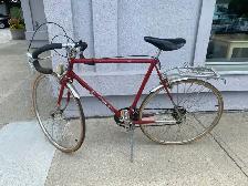 10 SPEED RACER
