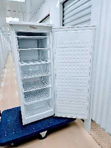 Ellipse Upright Freezer