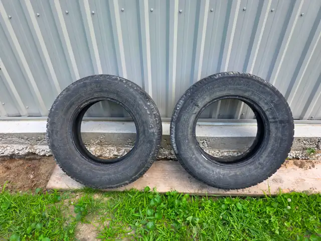 Bridgestone Blizzak WS-15 215 /70R15 98Q Two Tire Set