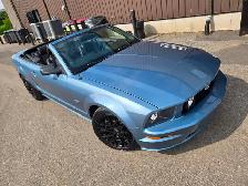 2008 Ford Mustang GT / 5 SPEED MANUAL / V8 CONVERTIBLE - Photo 11