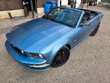 2008 Ford Mustang GT / 5 SPEED MANUAL / V8 CONVERTIBLE - Photo 15