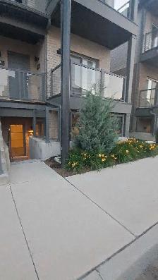 Condo Townhouse for Rent