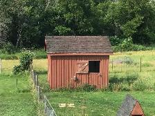 Cedar Board and Batten Animal Building