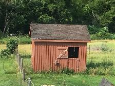 Cedar Board and Batten Animal Building - Photo 2