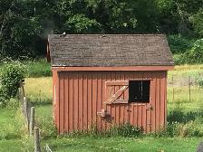 Cedar Board and Batten Animal Building - Photo 3