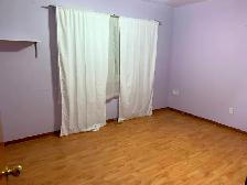 ROOM FOR RENT NEAR MCMASTER UNIVERSITY - Photo 3