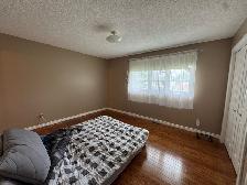 3 Bed 2.5 Bath House For Rent In St.Vital Plus Den - Photo 12