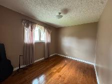 3 Bed 2.5 Bath House For Rent In St.Vital Plus Den - Photo 15