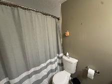 3 Bed 2.5 Bath House For Rent In St.Vital Plus Den - Photo 20