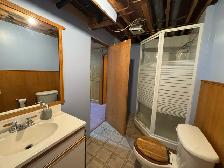 3 Bed 2.5 Bath House For Rent In St.Vital Plus Den - Photo 23