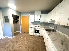 Studio 1-Bathroom l 119-626 Kinchant Street l Apartment - Photo 7