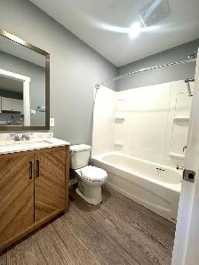 Studio 1-Bathroom l 119-626 Kinchant Street l Apartment - Photo 8