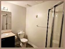 1 bedroom   1 bathroom basement for rent - Photo 4