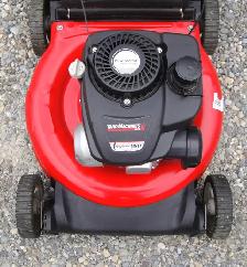 YARDWORKS REAR BAG GAS LAWNMOWER - Photo 4
