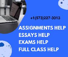 Assignment help, Homework help, Writer, Expert, Coursework