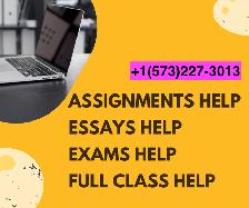 Assignment help, Essay writing, Biology, Nursing, ENG, Stat