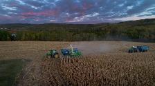 Full-Time Farm Hand - Photo 2