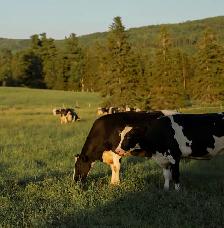 Full-Time Farm Hand - Photo 3
