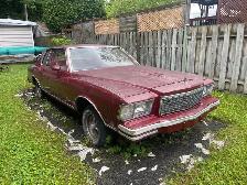 Chevrolet Monté Carlo 1979