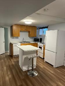 2 Bdrm Basement Suite for Rent - Photo 2