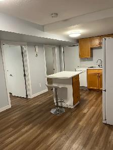 2 Bdrm Basement Suite for Rent - Photo 3