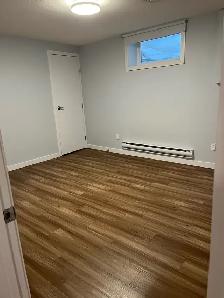 2 Bdrm Basement Suite for Rent - Photo 5