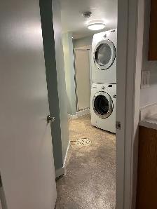 2 Bdrm Basement Suite for Rent - Photo 7