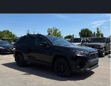 2019 Toyota RAV4 LE - Photo 3