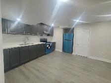 NEW BASEMENT APARTMENT FOR RENT      1 BEDROOMLocation: Hwy 50 - Photo 4