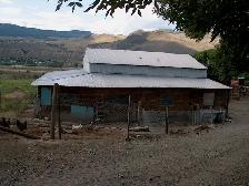 HOME     and   HOBBY FARM          PRITCHARD  B.C. - Photo 7