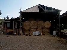 HOME     and   HOBBY FARM          PRITCHARD  B.C. - Photo 8