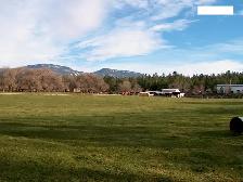 HOME     and   HOBBY FARM          PRITCHARD  B.C. - Photo 9