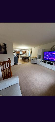 4 beds 2 baths single house in lancaster for rent immediately - Photo 4