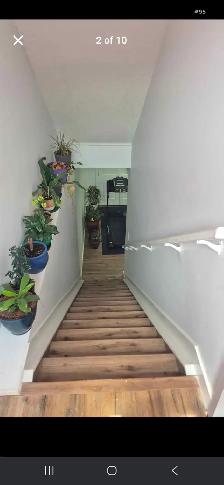 New Basement for rent in Maple crest - Photo 2