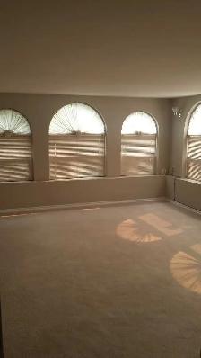 Basement Suite fpr tent