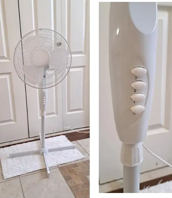 FAN