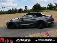 2023 Ford Mustang GT Premium Rebuilt - Photo 10