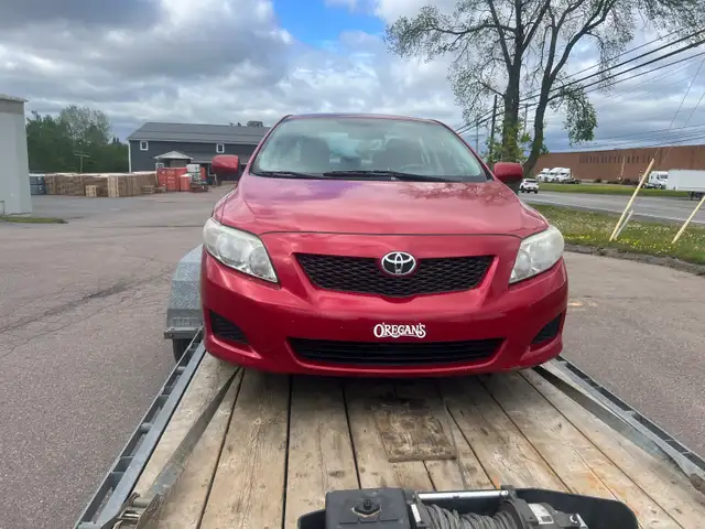 looking to buy Toyota Corolla