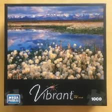 Casse-têtes (10 CT), 1000 pièces (no11) - Photo 8