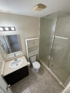 1900 SQFT Semi-Detached: 4 Bed, 2.5 Bath - Photo 8