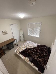 1900 SQFT Semi-Detached: 4 Bed, 2.5 Bath - Photo 13