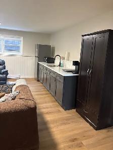 1 bedroom basement apartment - Photo 7