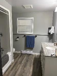 1 bedroom basement apartment - Photo 8