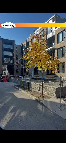 INSTALLATION & RÉPARATION PAVÉ UNIS MONTRÉAL - Photo 2