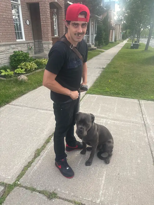 Looking for a new home urgent
