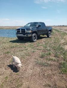 Dodge Ram 1500 with lift - Photo 3