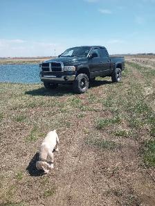 Dodge Ram 1500 with lift - Photo 4