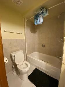 2 Beds 1 Bath Basement for Rent - Photo 8